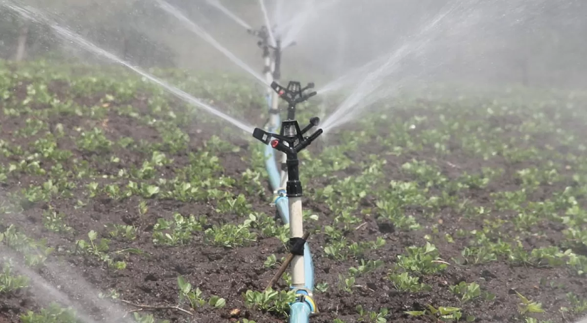 Nuevas técnicas para mejorar la eficiencia de uso de agua y nitrógeno en los sistemas de cultivo