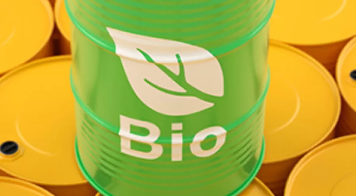 Bioenergía a partir de residuos urbanos, innovación y tecnología española puntera a nivel mundial