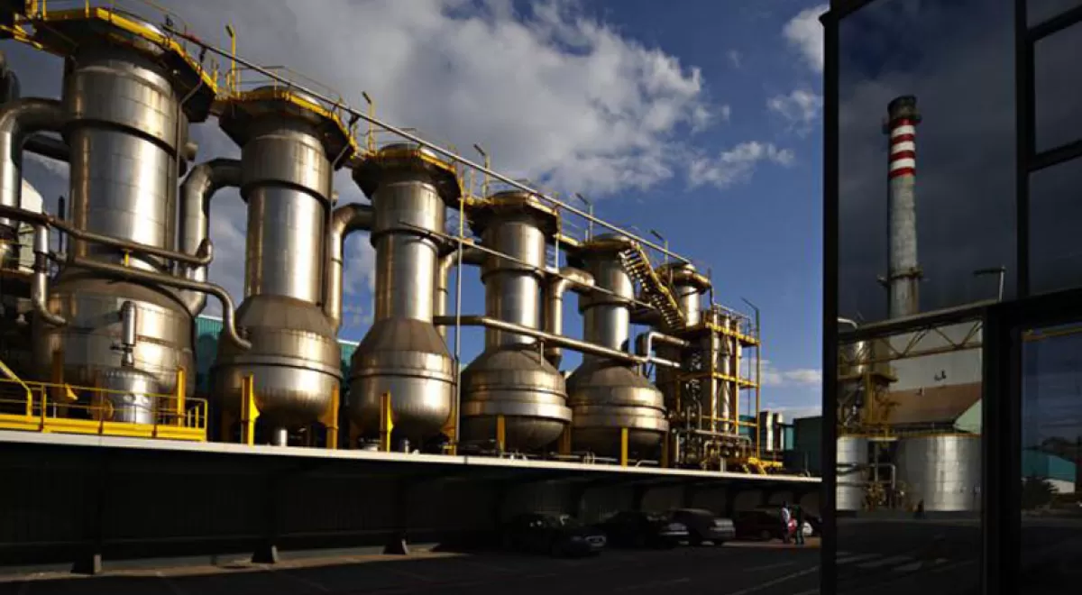 Ence busca alternativas para ubicar su planta de biomasa de 70 MW de Canarias