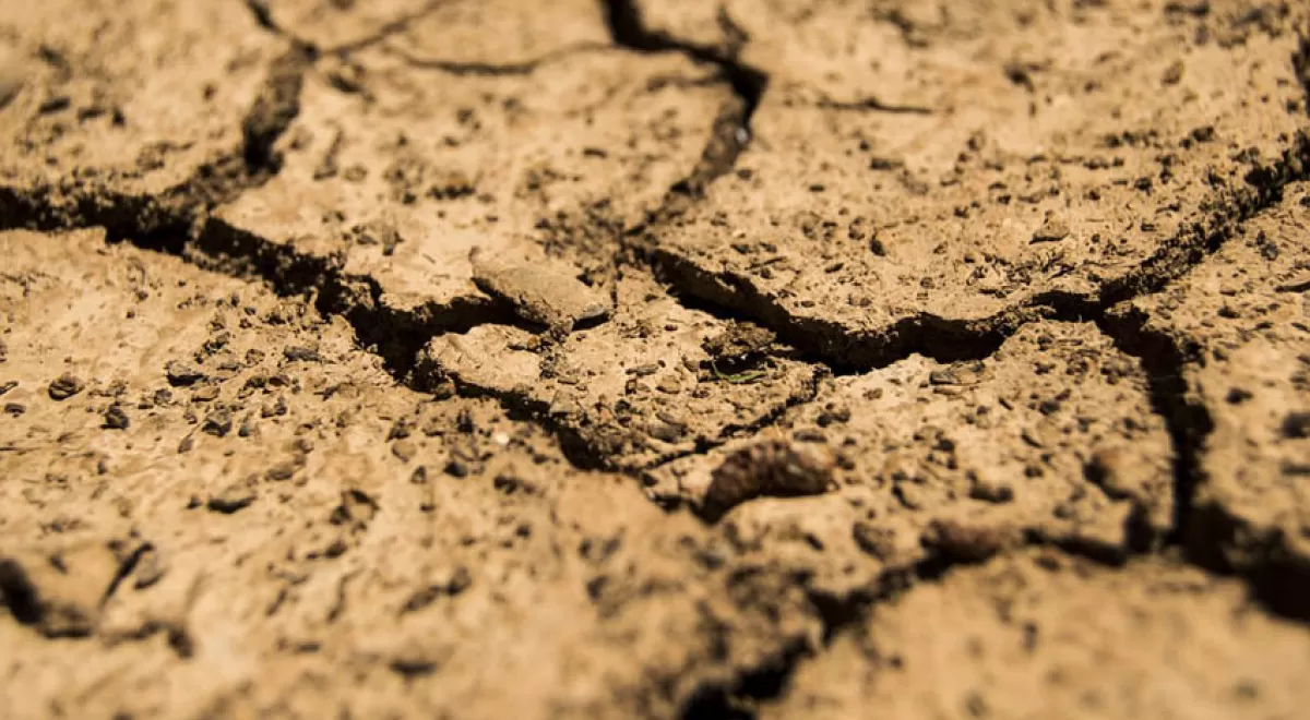 La mala gestión del agua y el cambio climático agravan la sequía, según Greenpeace