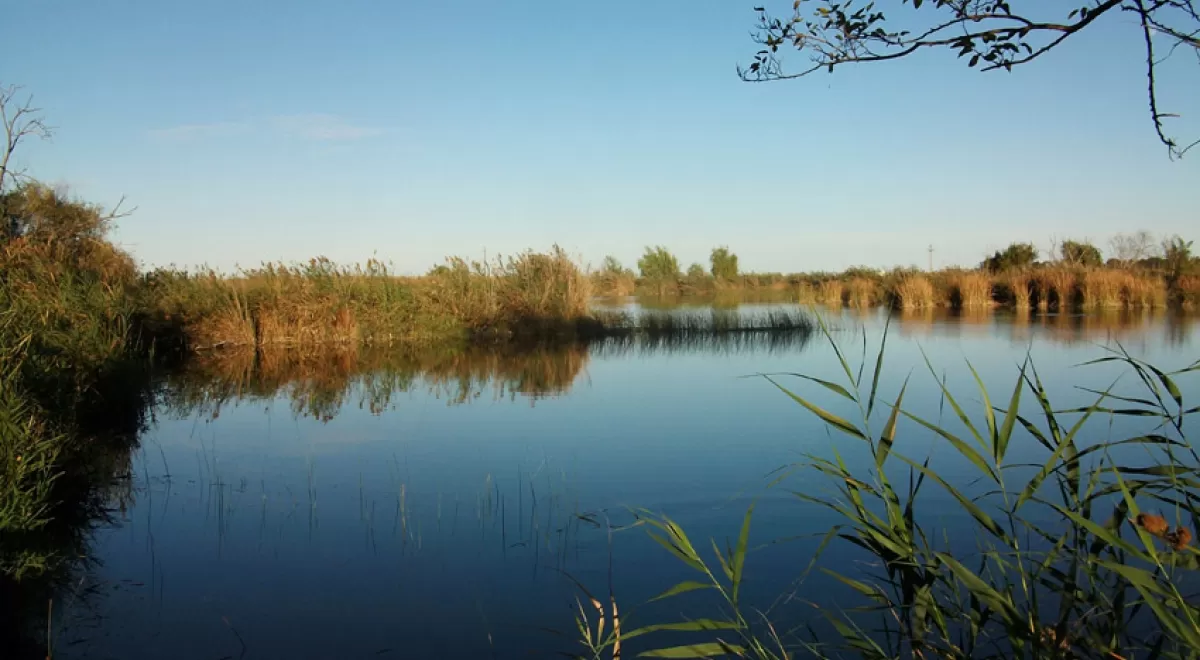Autorizada la inclusión del Marjal de Almenara en la Lista de humedales del Convenio Ramsar