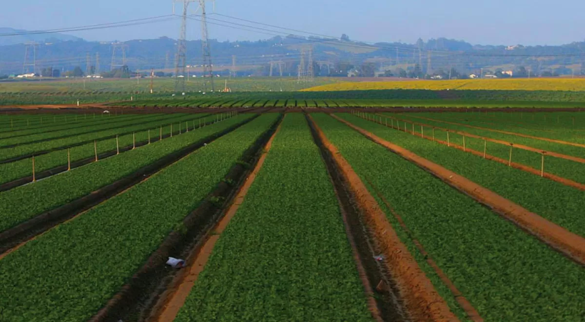 ¿Cuanto cuesta reducir las emisiones de gases de efecto invernadero en la agricultura?