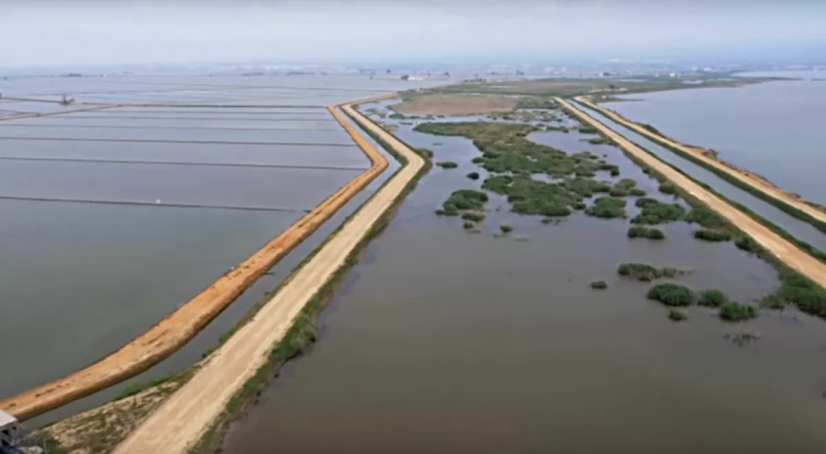 La gestión de SUEZ de los humedales de depuración del Delta del Ebro, ejemplo de desarrollo sostenible