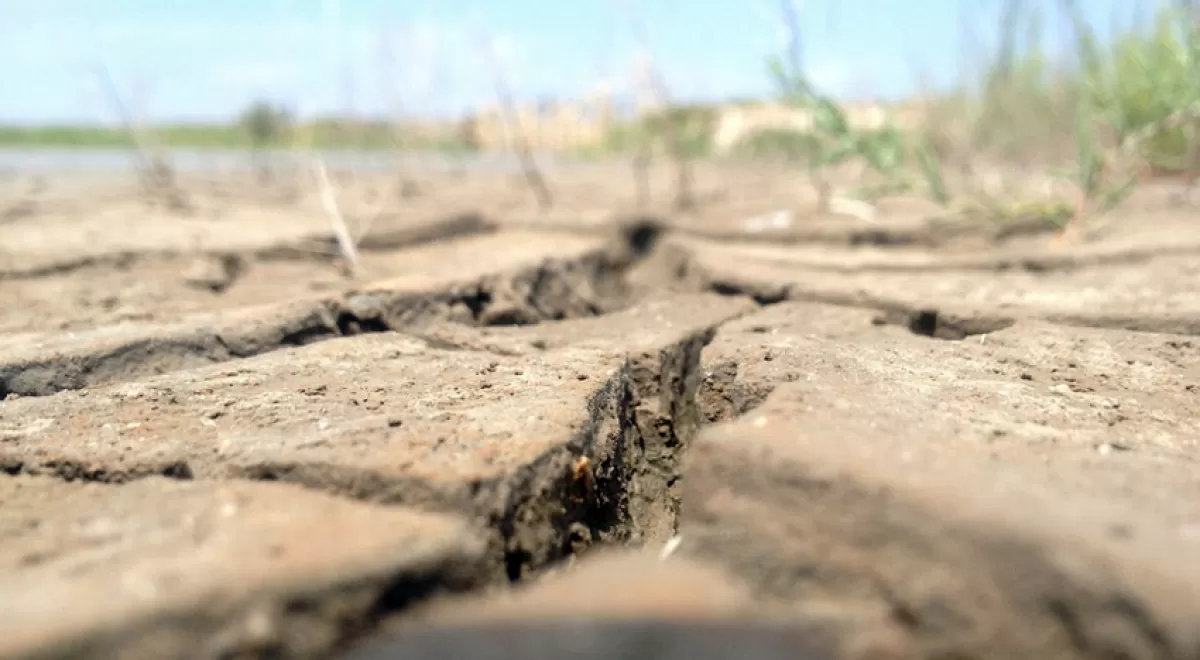 Nueva metodología que ayuda a reducir el impacto económico de la sequía en la agricultura de regadío
