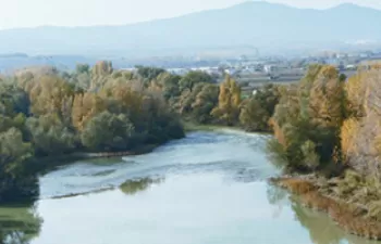 Navarra mejora la contaminación de sus masas de agua por nitratos de origen agrario desde 2002