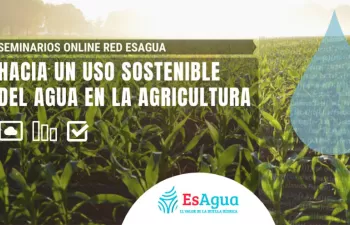 Hacia el uso sostenible del agua en la agricultura: nuevo seminario online de la red EsAgua