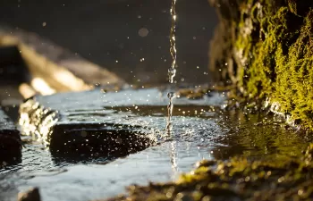 Aguas subterráneas, la clave invisible frente al cambio climático