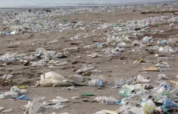 España apenas recupera el 25% de los envases plásticos, según un informe de Greenpeace