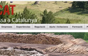 BiomassaCAT.cat, el nuevo portal de la Generalitat de Catalunya sobre la biomasa para uso energético