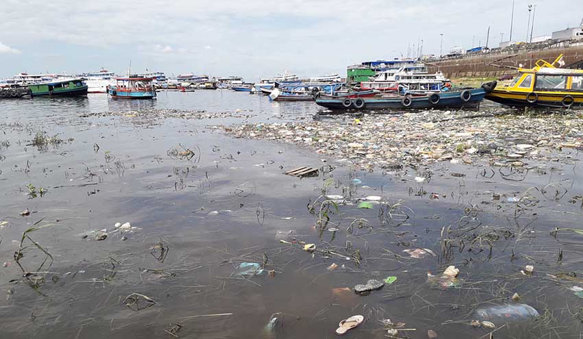 La contaminación amenaza la biodiversidad del río Amazonas | RETEMA La contaminación amenaza la biodiversidad del río Amazonas | RETEMA