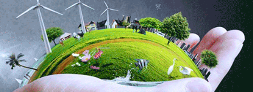 Medio Ambiente y responsabilidad social 2022 Medio Ambiente y responsabilidad social 2022
