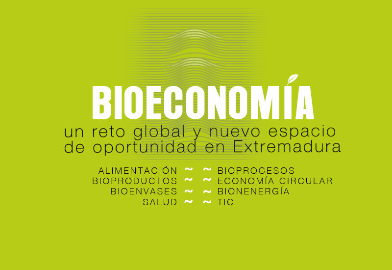Foro Innova Extremadura 2019 - ventana