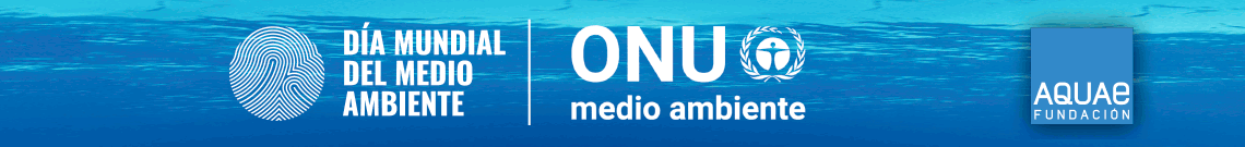 Fundación Aquae - DMMA18