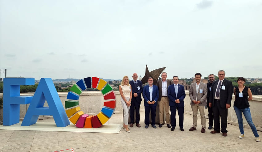 El IIAMA se reúne en Roma con representantes de la FAO para articular ...