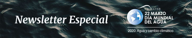 Banner NL Especial DMA