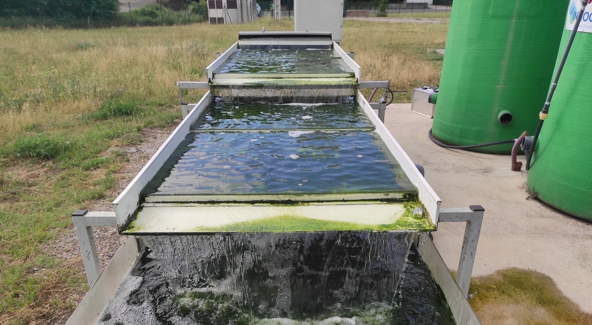 Combinar comunidades microbianas en un reactor biofilmplancton puede mejorar la calidad del agua tratada y apoyar la nueva normativa europea sobre aguas residuales – RETEMA