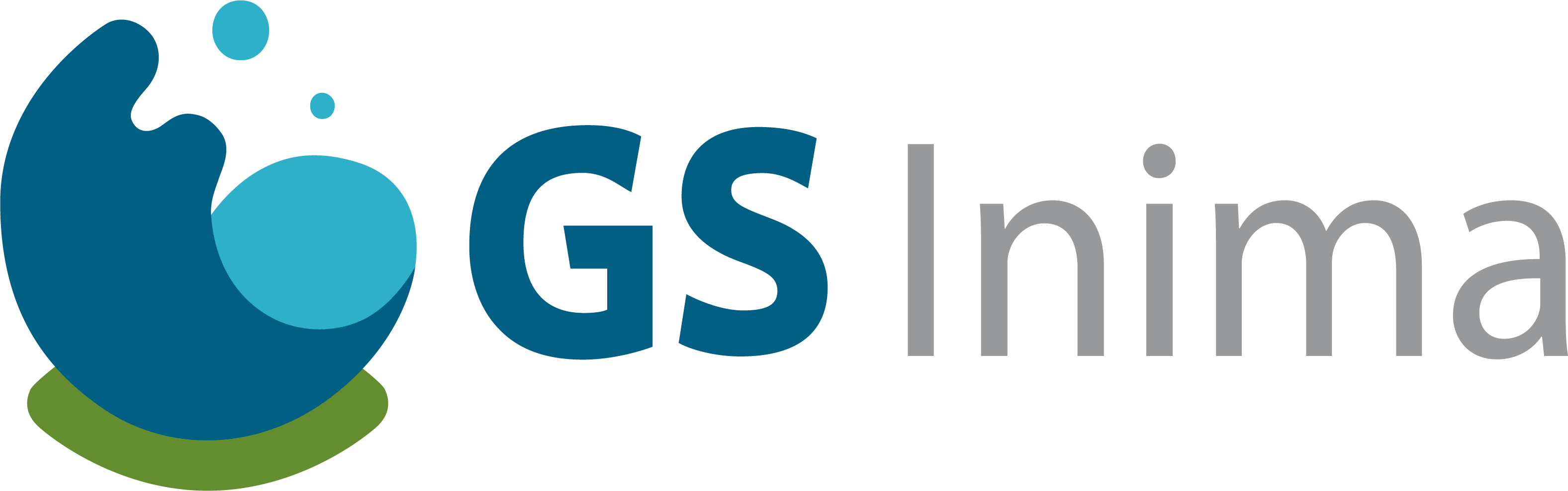 Logo GS Inima