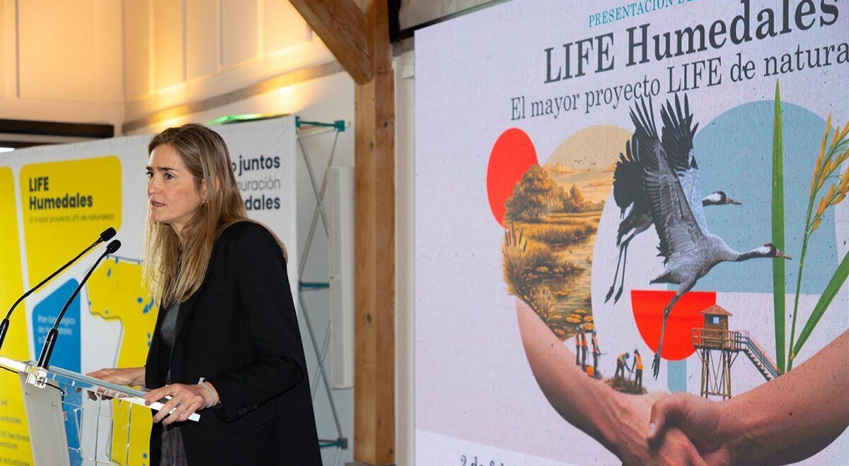 España pone en marcha el mayor proyecto LIFE de la historia para la restauración de humedales | RETEMA