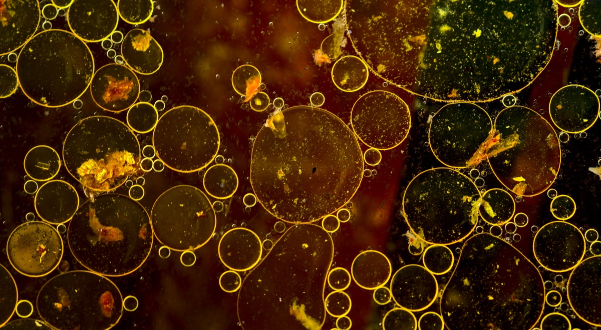 glosario-aguas-residuales-contaminacion-retema