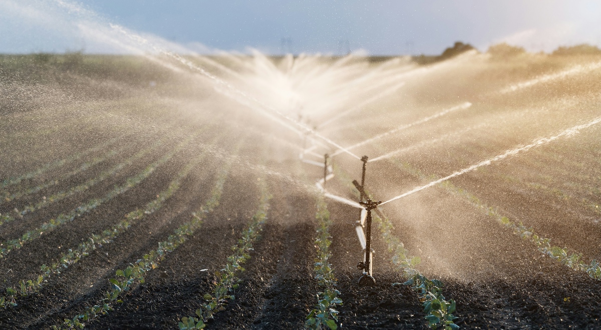 glosario-agua-regenerada-agricola-retema