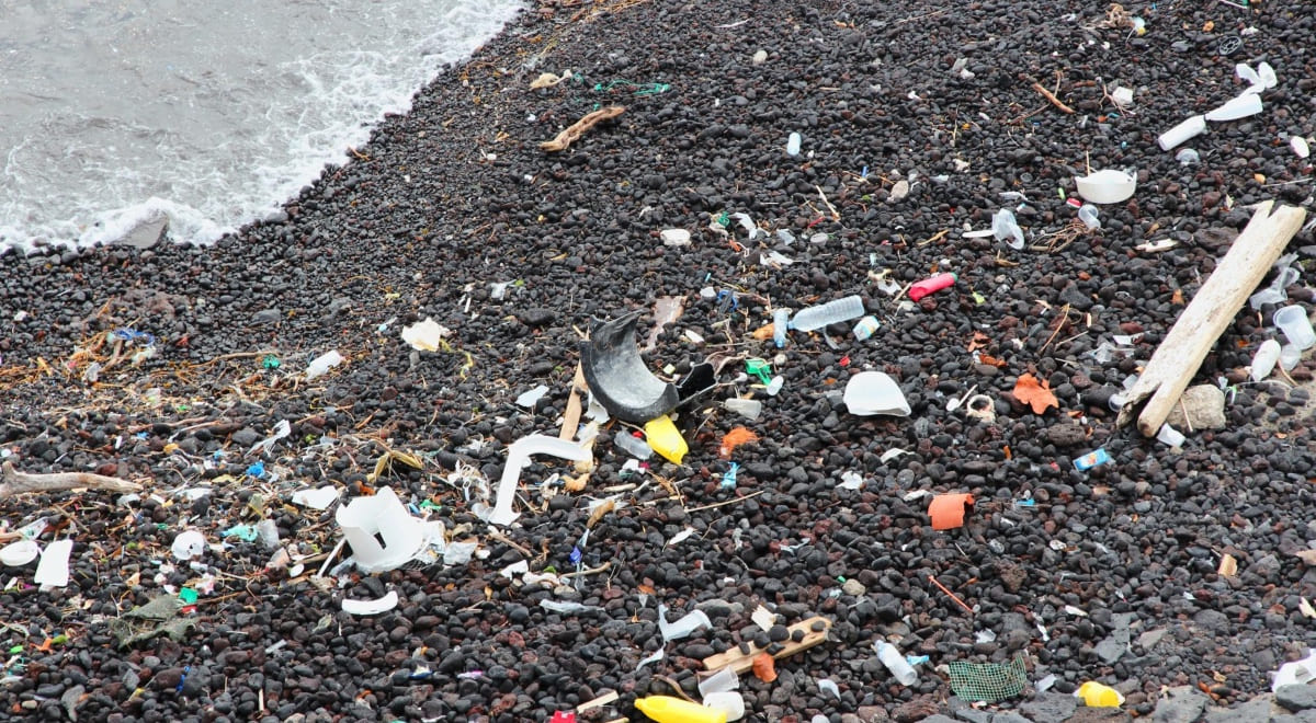 Un estudio revela que el impacto de los residuos plásticos varía según el océano