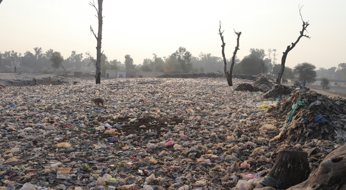 Contaminacion