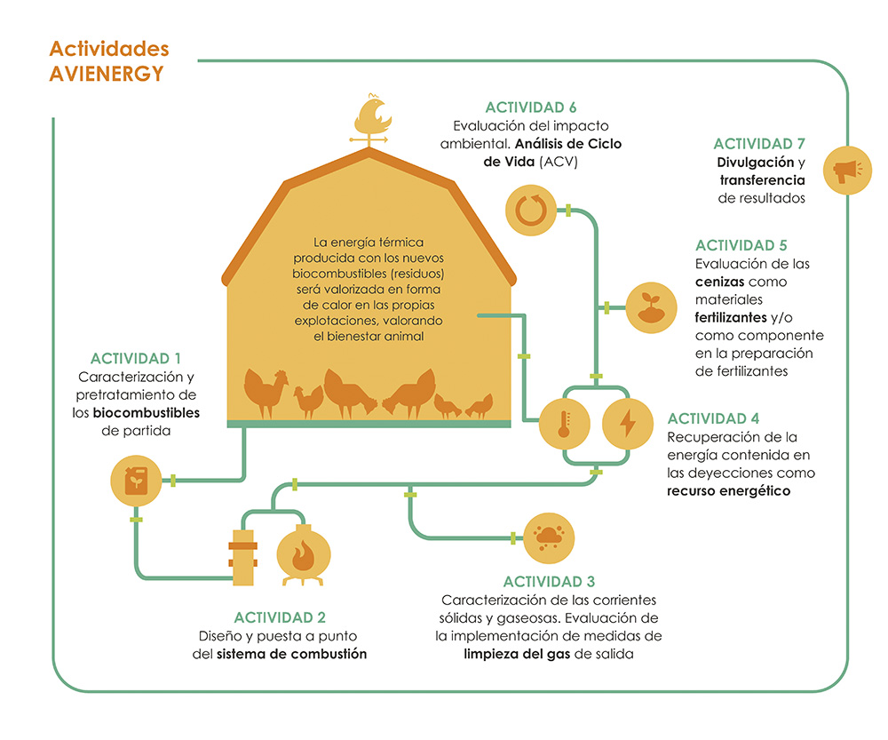 Actividades AVIENERGY