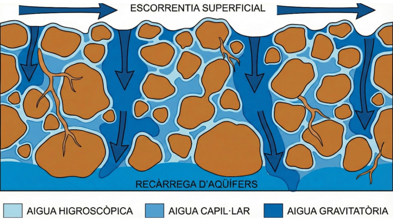 tipos aguas