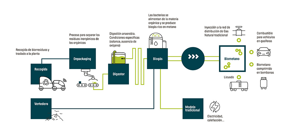 Infografía biometano