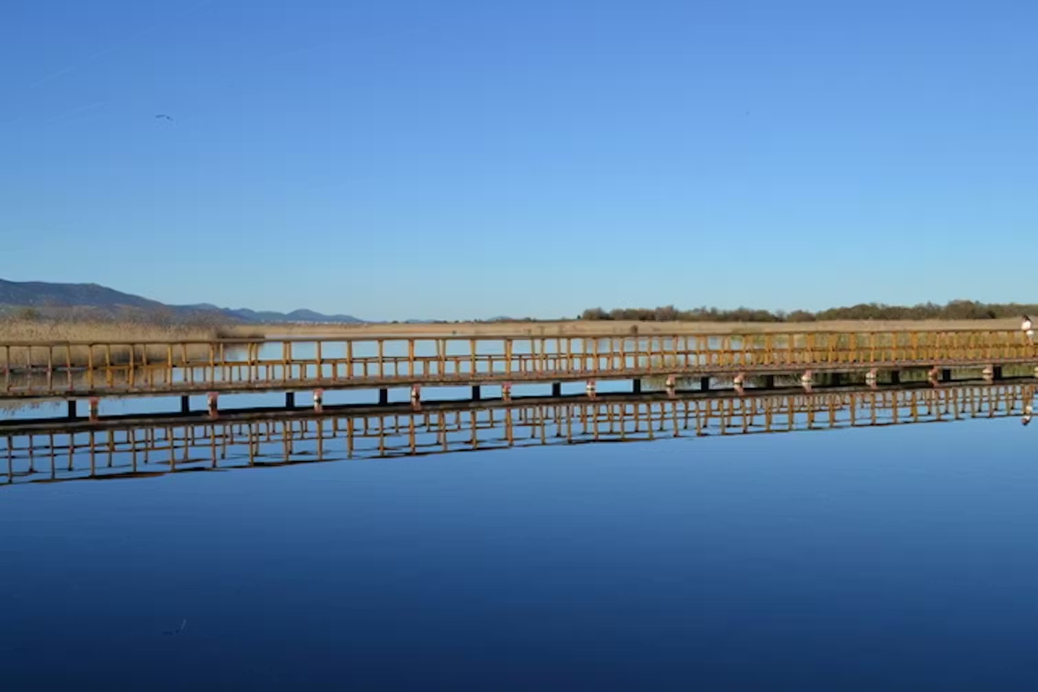 guadiana