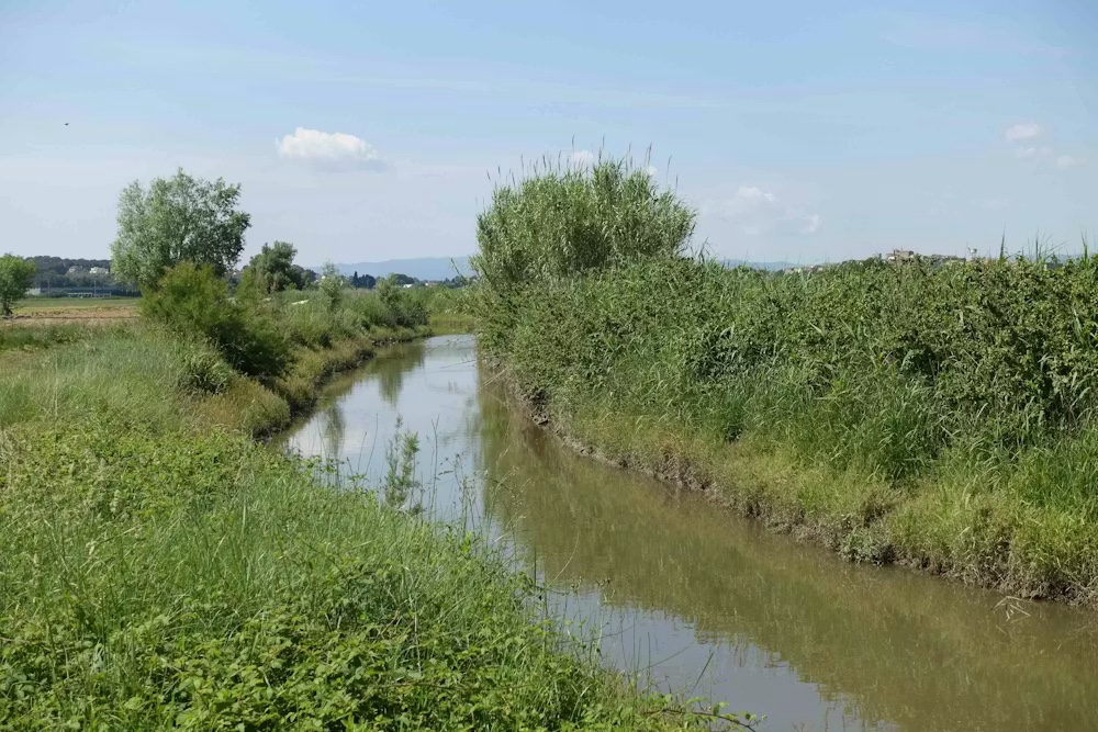 Canal de riego en el Baix Ter, en Girona. Sergi Sabater, CC BY-SA