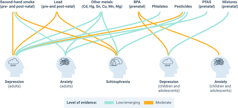Relación entre la contaminación química y los problemas de salud mental. 