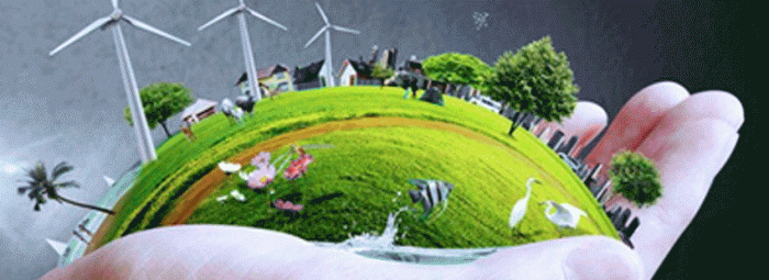 Medio Ambiente y responsabilidad social 2022