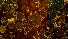 glosario-aguas-residuales-contaminacion-retema