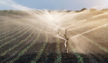 glosario-agua-regenerada-agricola-retema