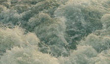 desalacion