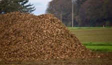 bioma