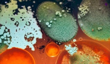 contaminantes emergentes 1