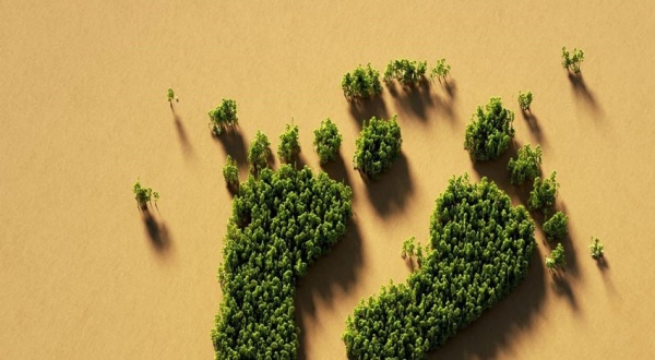 El 75% de las compras de las Administraciones vascas se hará bajo criterios de sostenibilidad antes de 2030