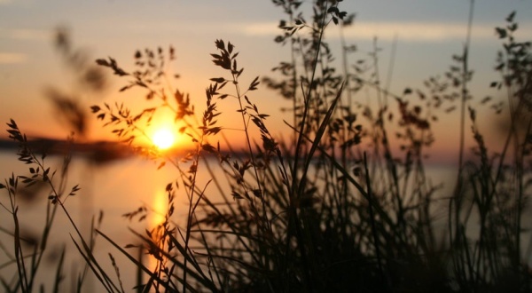 Soluciones basadas en la naturaleza para adaptar la gestión del agua al cambio climático