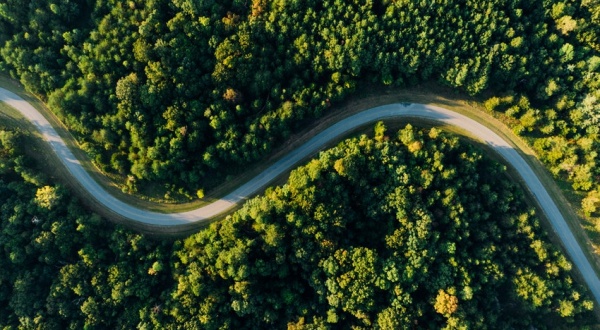 Un informe de Naciones Unidas advierte: no estamos en el camino de una recuperación verde