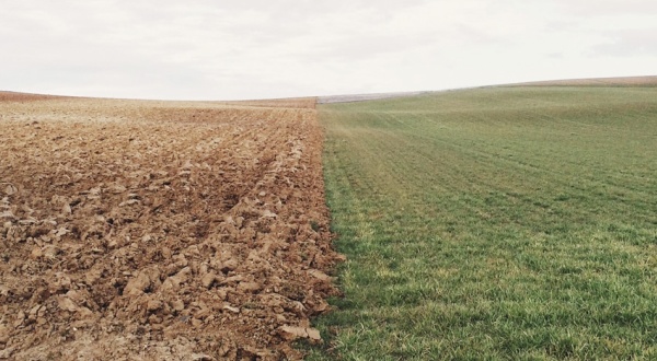 El imperativo equilibrio para un futuro sostenible