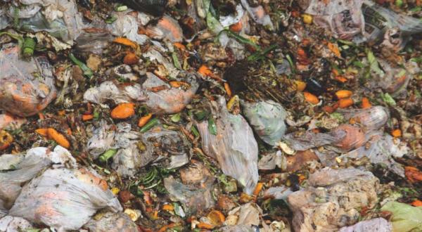 La Agencia de Residuos de Cataluña destina dos millones de euros para fomentar la recogida de residuos orgánicos