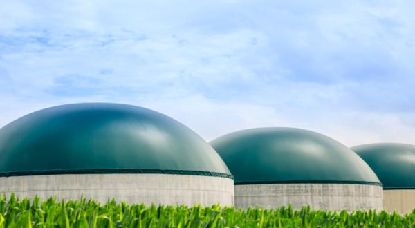 El MITECO subvencionará  con 150 millones instalaciones de biogás y biometano