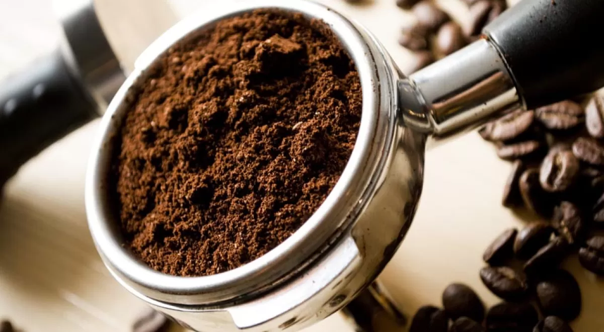 ¿Se pueden convertir los posos de café en alimento para el ganado?