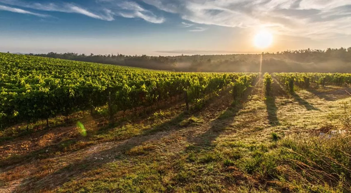 Navarra acoge el primer proyecto para una estrategia de adaptación al cambio climático en una región