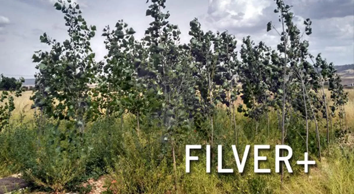 Proyecto FILVER+, nuevo concepto de filtro verde para la regeneración de aguas