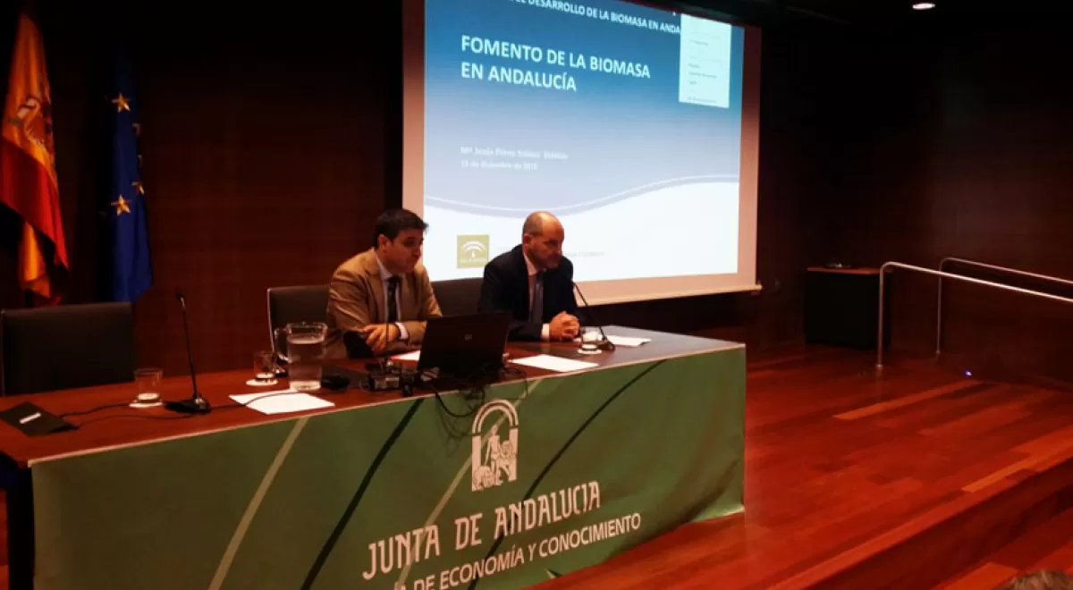 La Agencia Andaluza de la Energía expone como la biomasa genera riqueza en la región