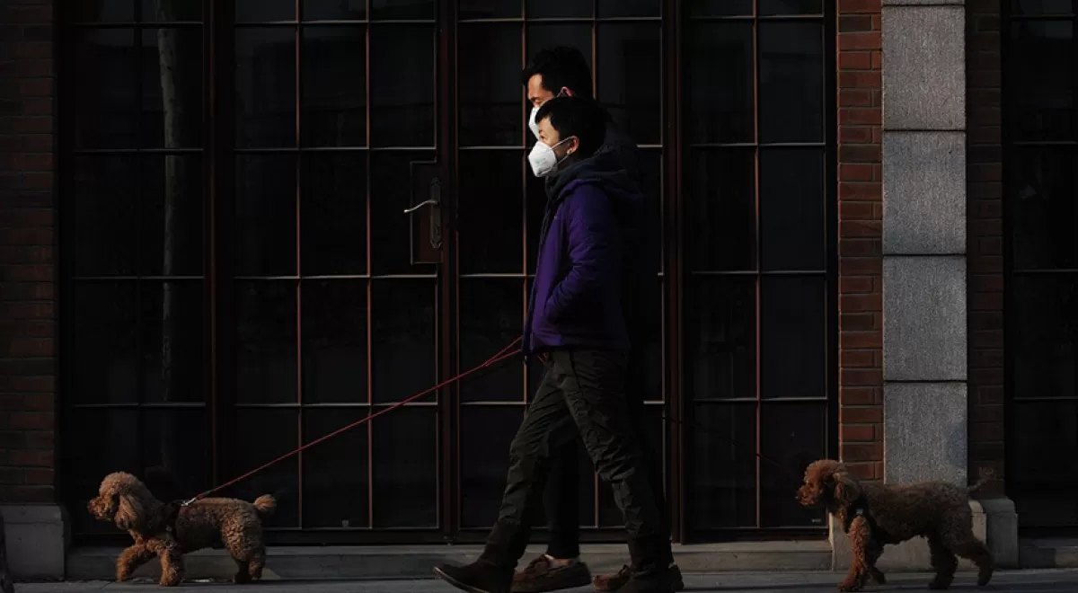 Lo que sabemos y lo que no sobre la relación entre la calidad del aire y el coronavirus