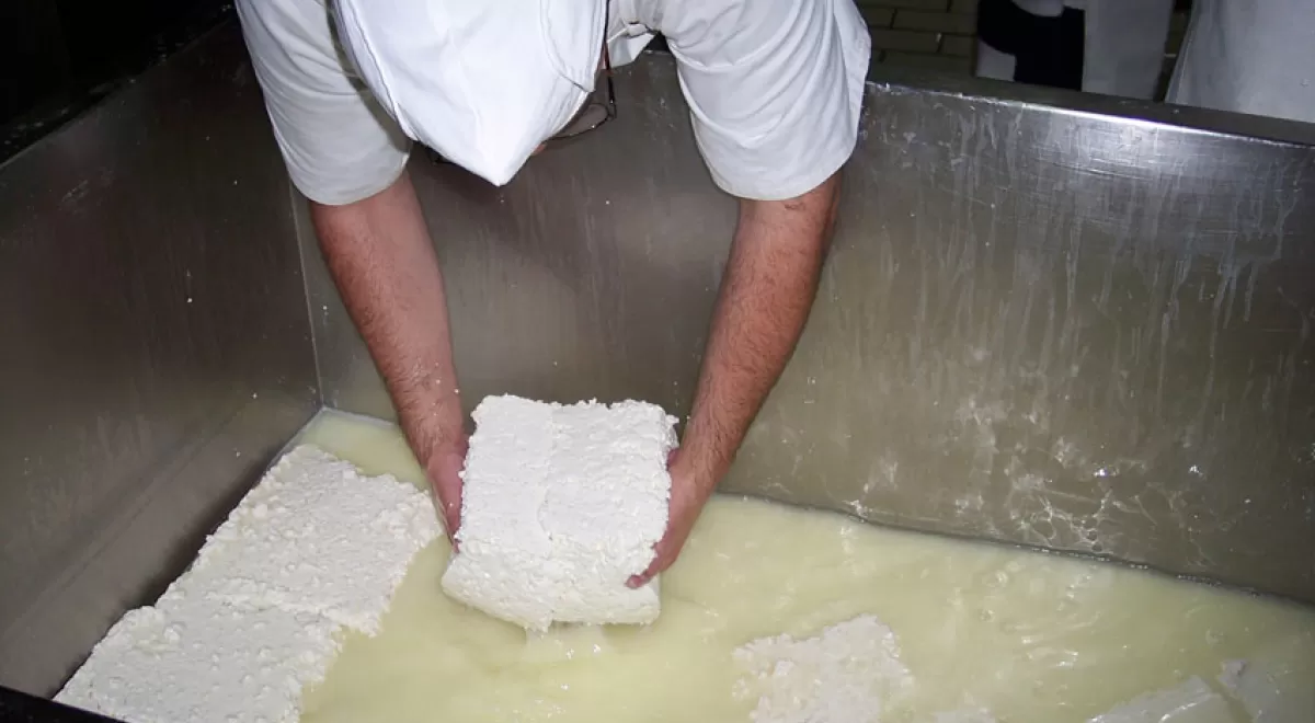 Investigadores logran producir biocombustible con suero de queso
